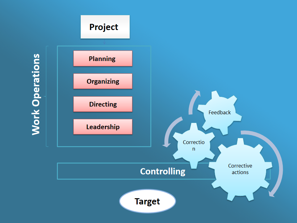 controlling in business management