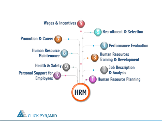 Top 10 Functions Of Human Resource Management