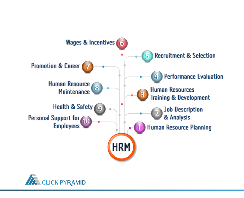 Top 10 Functions Of Human Resource Management Click Pyramid Ltd