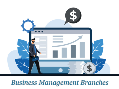 Business Management Branches