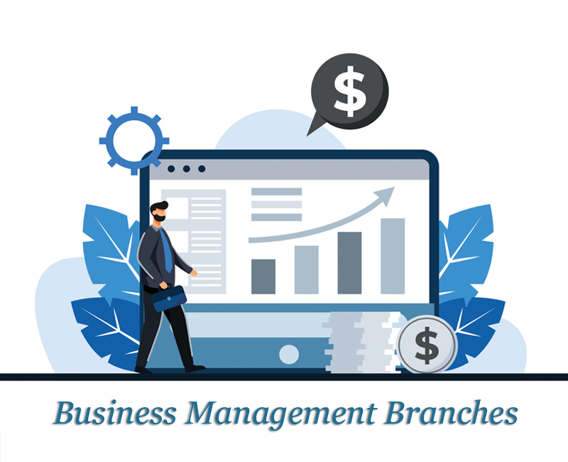 Business Management Branches